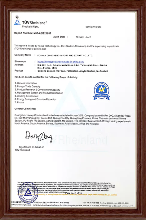 TUV Rheinland Audit Report