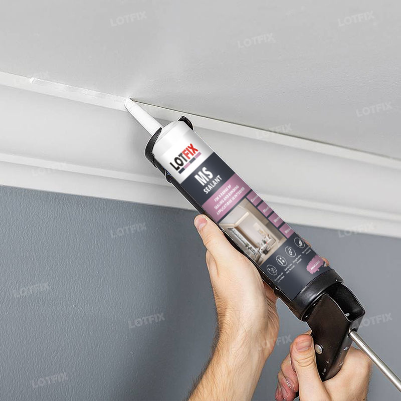 MS Polymer Sealant